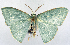  ( - 817483)  @11 [ ] CreativeCommons - Attribution Non-Commercial Share-Alike (2015) David Polluck Smithsonian Institution