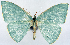  ( - 817484)  @11 [ ] CreativeCommons - Attribution Non-Commercial Share-Alike (2015) David Polluck Smithsonian Institution