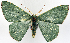  ( - 817497)  @11 [ ] CreativeCommons - Attribution Non-Commercial Share-Alike (2015) David Polluck Smithsonian Institution