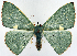  ( - 817498)  @11 [ ] CreativeCommons - Attribution Non-Commercial Share-Alike (2015) David Polluck Smithsonian Institution