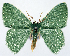  ( - 817538)  @11 [ ] CreativeCommons - Attribution Non-Commercial Share-Alike (2015) David Polluck Smithsonian Institution