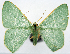  ( - CCDB-11876-A05)  @11 [ ] CreativeCommons - Attribution (2014) David Polluck Centre for Biodiversity Genomics