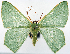  ( - 817639)  @11 [ ] CreativeCommons - Attribution Non-Commercial Share-Alike (2015) David Polluck Smithsonian Institution