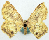  ( - CCDB-16669_F11)  @11 [ ] CreativeCommons - Attribution (2014) David Polluck Centre for Biodiversity Genomics