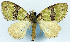  ( - CCDB-11873-H10)  @11 [ ] CreativeCommons - Attribution (2014) David Polluck Centre for Biodiversity Genomics