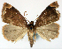  ( - CCDB-11877_H03)  @11 [ ] CreativeCommons - Attribution (2014) David Polluck Centre for Biodiversity Genomics