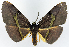  ( - CCDB-11875-C02)  @11 [ ] CreativeCommons - Attribution (2014) David Polluck Centre for Biodiversity Genomics