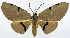  ( - CCDB-11875-C06)  @11 [ ] CreativeCommons - Attribution (2014) David Polluck Centre for Biodiversity Genomics