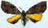  ( - CCDB-11875-D02)  @11 [ ] CreativeCommons - Attribution (2014) David Polluck Centre for Biodiversity Genomics