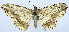  ( - CCDB-11875-G05)  @11 [ ] CreativeCommons - Attribution (2014) David Polluck Centre for Biodiversity Genomics
