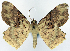  ( - CCDB-16669_D01)  @11 [ ] CreativeCommons - Attribution (2014) David Polluck Centre for Biodiversity Genomics