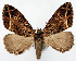  ( - CCDB-11877_E03)  @11 [ ] CreativeCommons - Attribution (2014) David Polluck Centre for Biodiversity Genomics