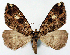  ( - CCDB-11877_E04)  @11 [ ] CreativeCommons - Attribution (2014) David Polluck Centre for Biodiversity Genomics
