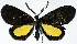  ( - CCDB-11851_D08)  @11 [ ] CreativeCommons - Attribution (2014) David Polluck Centre for Biodiversity Genomics