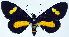  ( - CCDB-11851_F06)  @11 [ ] CreativeCommons - Attribution (2014) David Polluck Centre for Biodiversity Genomics
