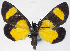  ( - CCDB-16634_A06)  @11 [ ] CreativeCommons - Attribution (2014) David Polluck Centre for Biodiversity Genomics