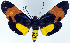  ( - 962439)  @11 [ ] CreativeCommons - Attribution Non-Commercial Share-Alike (2015) David Polluck Smithsonian Institution