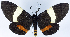  ( - 962453)  @11 [ ] CreativeCommons - Attribution Non-Commercial Share-Alike (2015) David Polluck Smithsonian Institution