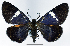  ( - 962486)  @11 [ ] CreativeCommons - Attribution Non-Commercial Share-Alike (2015) David Polluck Smithsonian Institution