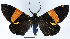  ( - 962495)  @11 [ ] CreativeCommons - Attribution Non-Commercial Share-Alike (2015) David Polluck Smithsonian Institution