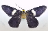  ( - USNM ENT 00980239)  @11 [ ] Unspecified (default): All Rights Reserved  Unspecified Unspecified