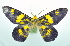  ( - USNM ENT 00980241)  @11 [ ] Unspecified (default): All Rights Reserved  Unspecified Unspecified