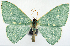  ( - 817482)  @11 [ ] CreativeCommons - Attribution Non-Commercial Share-Alike (2015) David Pollock Smithsonian Institution