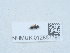  ( - NHMUK012857785)  @11 [ ] Unspecified (default): All Rights Reserved  Unspecified Unspecified