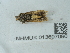  ( - NHMUK013697090)  @11 [ ] Unspecified (default): All Rights Reserved  Unspecified Unspecified