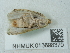  ( - NHMUK013698370)  @11 [ ] Unspecified (default): All Rights Reserved  Unspecified Unspecified
