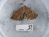  ( - NHMUK013698592)  @11 [ ] Unspecified (default): All Rights Reserved  Unspecified Unspecified
