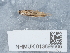 ( - NHMUK013698606)  @11 [ ] Unspecified (default): All Rights Reserved  Unspecified Unspecified
