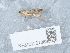  ( - NHMUK013698606)  @11 [ ] Unspecified (default): All Rights Reserved  Unspecified Unspecified