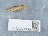  ( - NHMUK013699244)  @11 [ ] Unspecified (default): All Rights Reserved  Unspecified Unspecified