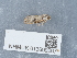  ( - NHMUK013699267)  @11 [ ] Unspecified (default): All Rights Reserved  Unspecified Unspecified