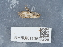 ( - NHMUK013699269)  @11 [ ] Unspecified (default): All Rights Reserved  Unspecified Unspecified