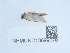  ( - NHMUK013699270)  @11 [ ] Unspecified (default): All Rights Reserved  Unspecified Unspecified