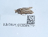  ( - NHMUK013699270)  @11 [ ] Unspecified (default): All Rights Reserved  Unspecified Unspecified
