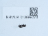  ( - NHMUK013699378)  @11 [ ] Unspecified (default): All Rights Reserved  Unspecified Unspecified