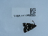 ( - NHMUK013699389)  @11 [ ] Unspecified (default): All Rights Reserved  Unspecified Unspecified