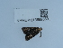  ( - NHMUK013699389)  @11 [ ] Unspecified (default): All Rights Reserved  Unspecified Unspecified