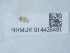  ( - NHMUK014438491)  @11 [ ] Unspecified (default): All Rights Reserved  Unspecified Unspecified