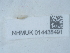  ( - NHMUK014438491)  @11 [ ] Unspecified (default): All Rights Reserved  Unspecified Unspecified