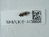  ( - NHMUK014438696)  @11 [ ] Unspecified (default): All Rights Reserved  Unspecified Unspecified