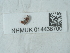  ( - NHMUK014438700)  @11 [ ] Unspecified (default): All Rights Reserved  Unspecified Unspecified