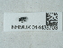  ( - NHMUK014438703)  @11 [ ] Unspecified (default): All Rights Reserved  Unspecified Unspecified