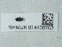  ( - NHMUK014438703)  @11 [ ] Unspecified (default): All Rights Reserved  Unspecified Unspecified