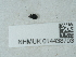  ( - NHMUK014438703)  @11 [ ] Unspecified (default): All Rights Reserved  Unspecified Unspecified