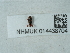  ( - NHMUK014438704)  @11 [ ] Unspecified (default): All Rights Reserved  Unspecified Unspecified
