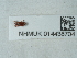  ( - NHMUK014438704)  @11 [ ] Unspecified (default): All Rights Reserved  Unspecified Unspecified